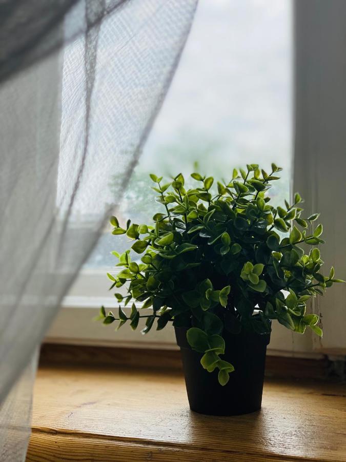 Cosy Apartment リガ エクステリア 写真