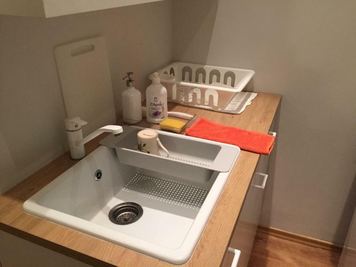 Cosy Apartment リガ エクステリア 写真